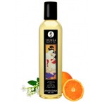 Huile de Massage - Shunga