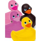 Canard Vibrant